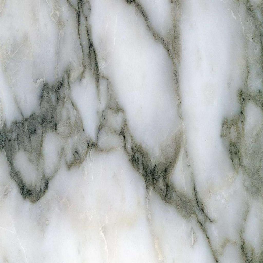 Arabescato Vagli Marble Flooring